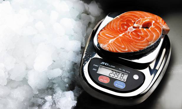 HL-WP Professional Food Scales - From only $560 (ex GST)!